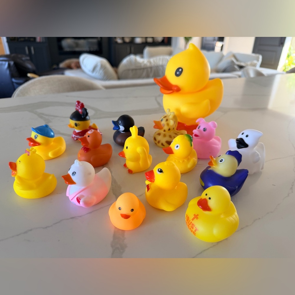 Colorful Rubber Ducks Various Sizes - Picture 9 of 12